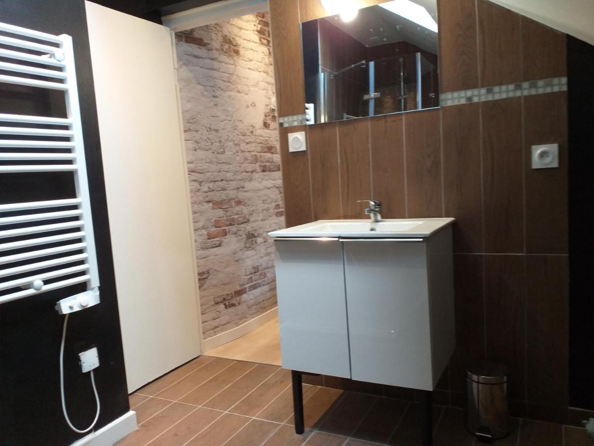 Les Volets Bleus - Deux Appartements Et Un Studio, Jardin Bourges Zewnętrze zdjęcie