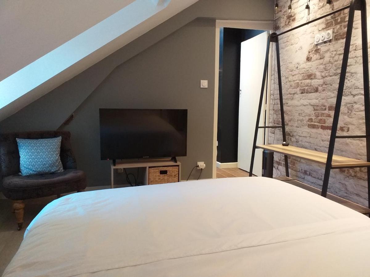 Les Volets Bleus - Deux Appartements Et Un Studio, Jardin Bourges Zewnętrze zdjęcie