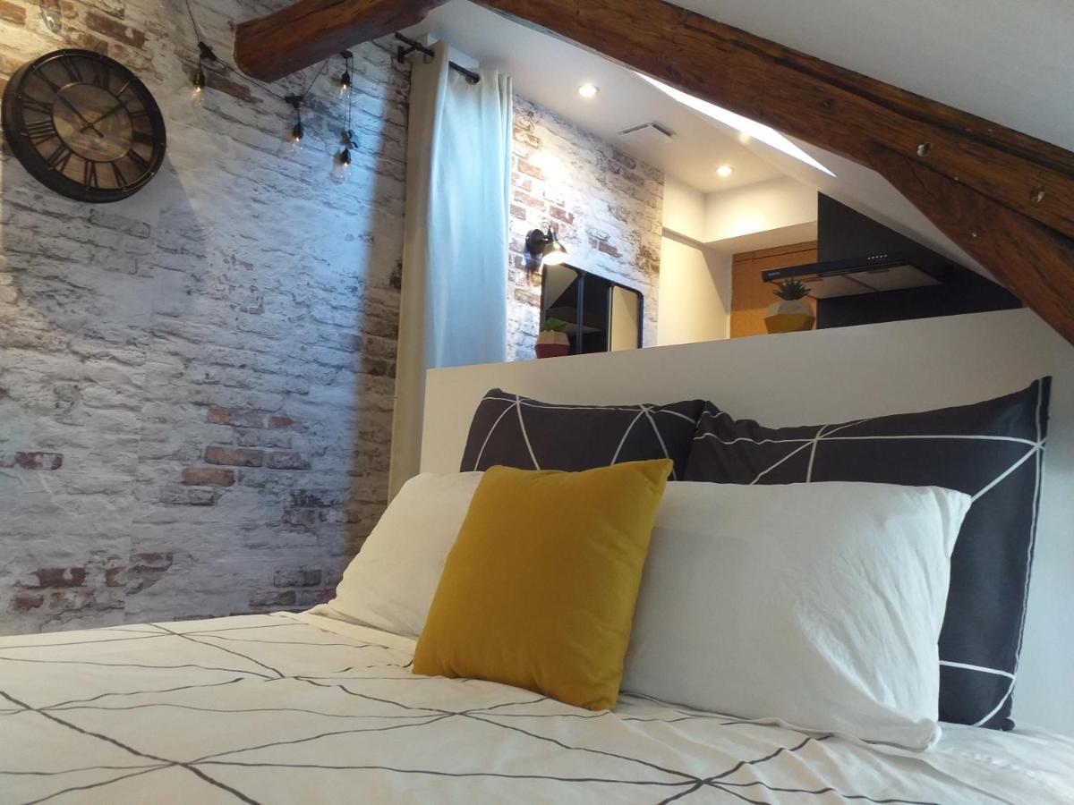 Les Volets Bleus - Deux Appartements Et Un Studio, Jardin Bourges Zewnętrze zdjęcie
