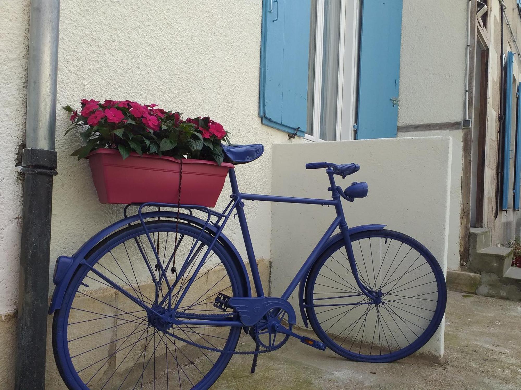 Les Volets Bleus - Deux Appartements Et Un Studio, Jardin Bourges Pokój zdjęcie