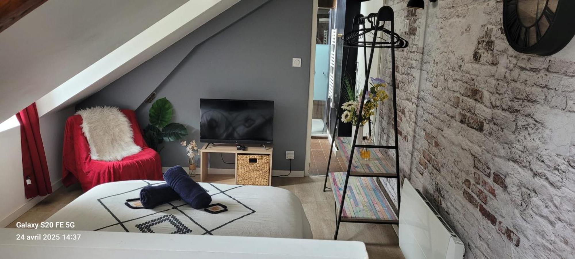 Les Volets Bleus - Deux Appartements Et Un Studio, Jardin Bourges Zewnętrze zdjęcie