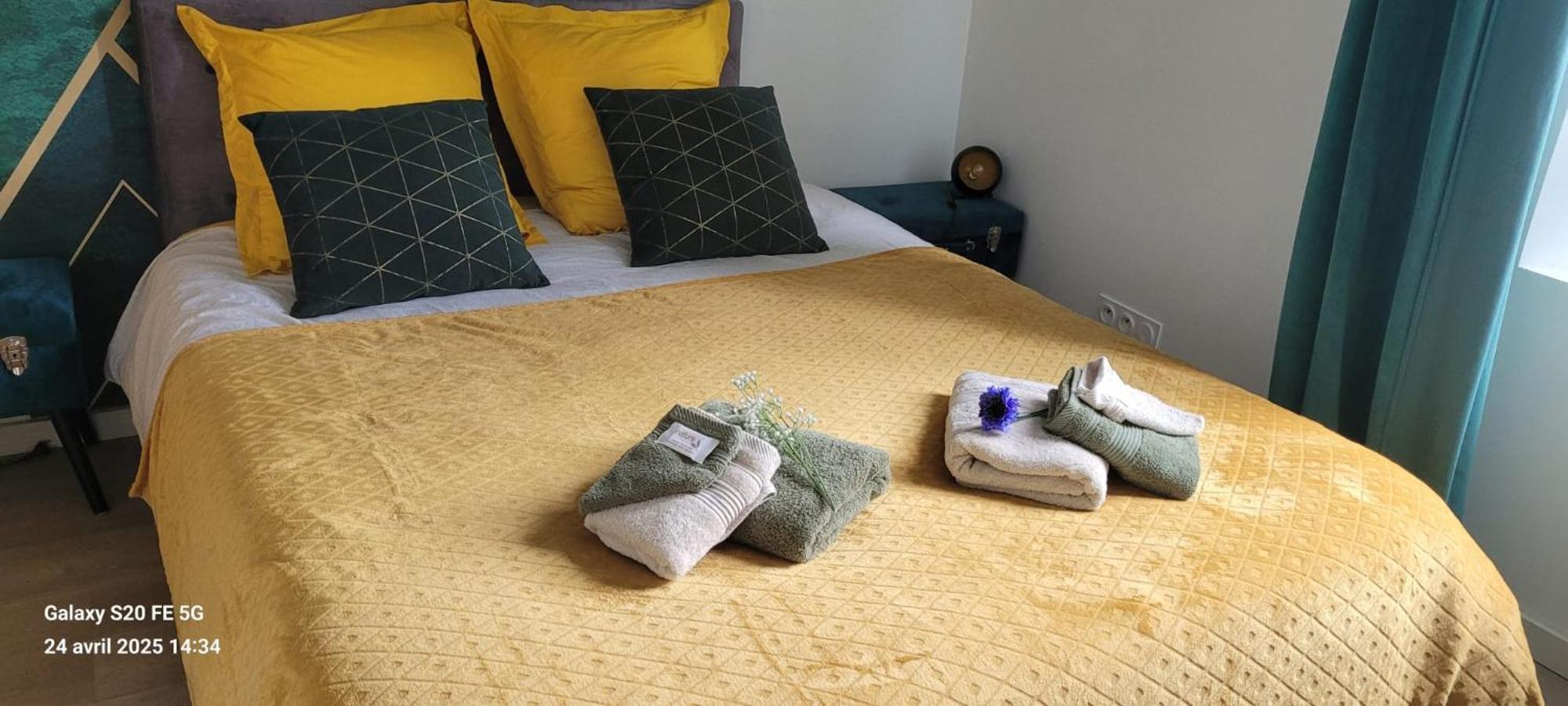 Les Volets Bleus - Deux Appartements Et Un Studio, Jardin Bourges Zewnętrze zdjęcie
