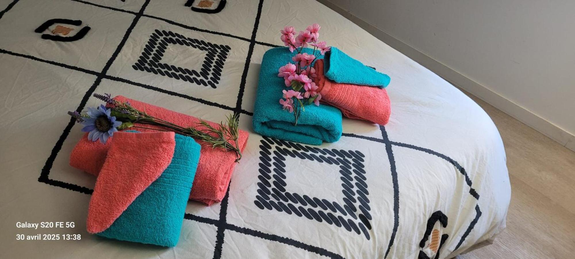 Les Volets Bleus - Deux Appartements Et Un Studio, Jardin Bourges Zewnętrze zdjęcie