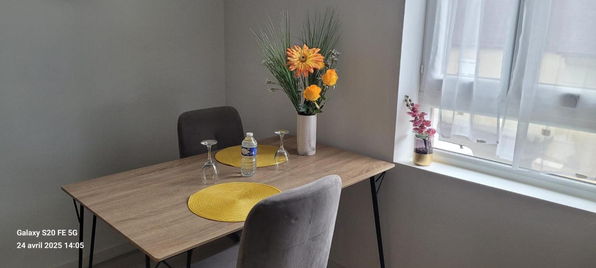 Les Volets Bleus - Deux Appartements Et Un Studio, Jardin Bourges Zewnętrze zdjęcie